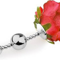 Chapelet Anal En Inox Bout Fleuri