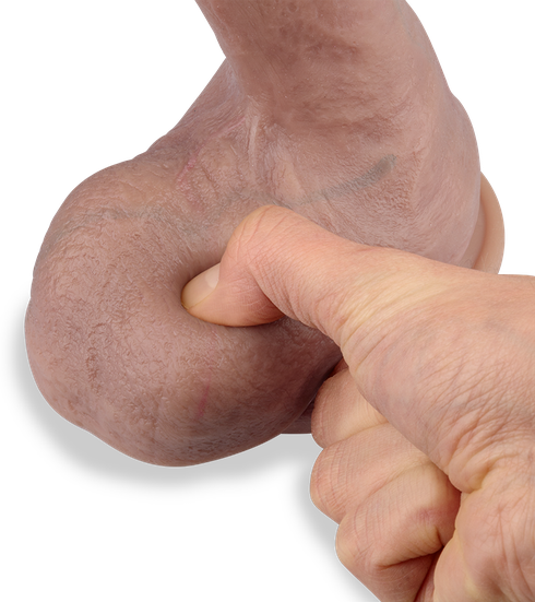 Gode ventouse Ultra réaliste 23 cm Platinum