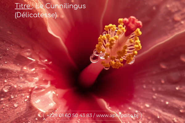 Cunnilingus : Le guide du gourmet pour l'emmener au septième ciel