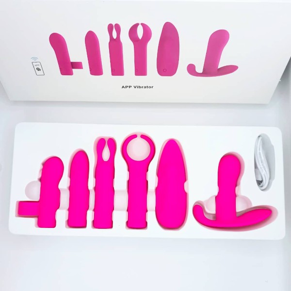 Coffret de Sextoys Connectés 6 en 1 Limited Collector