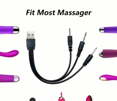 Câble de Recharge Universel 3-en-1 pour Vibromasseurs